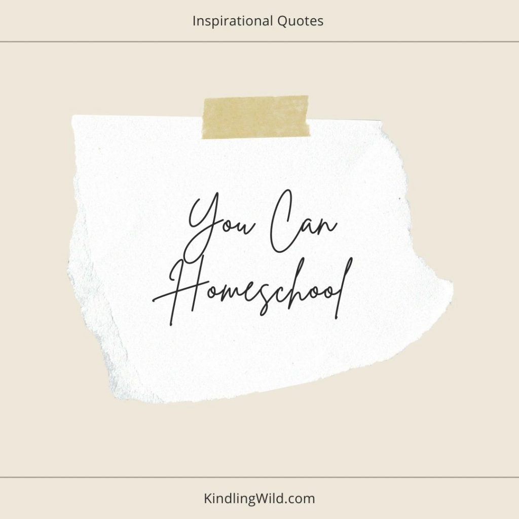 minimalist design pin board with "you can homeschool" written in handwriting