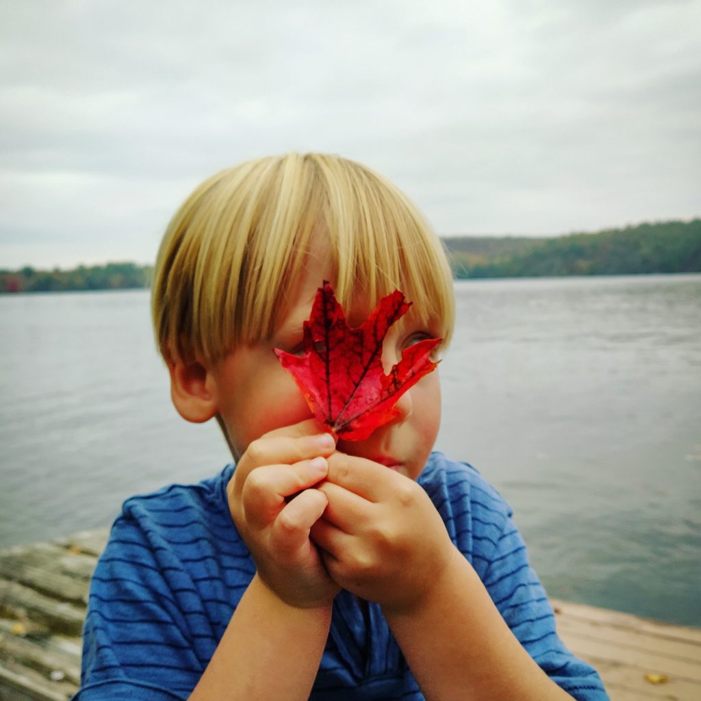 boy holding maple leaf to his eye on leaf walk nature hunt