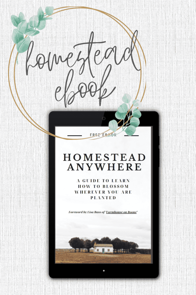 Homestead Anywhere With This Free Ebook