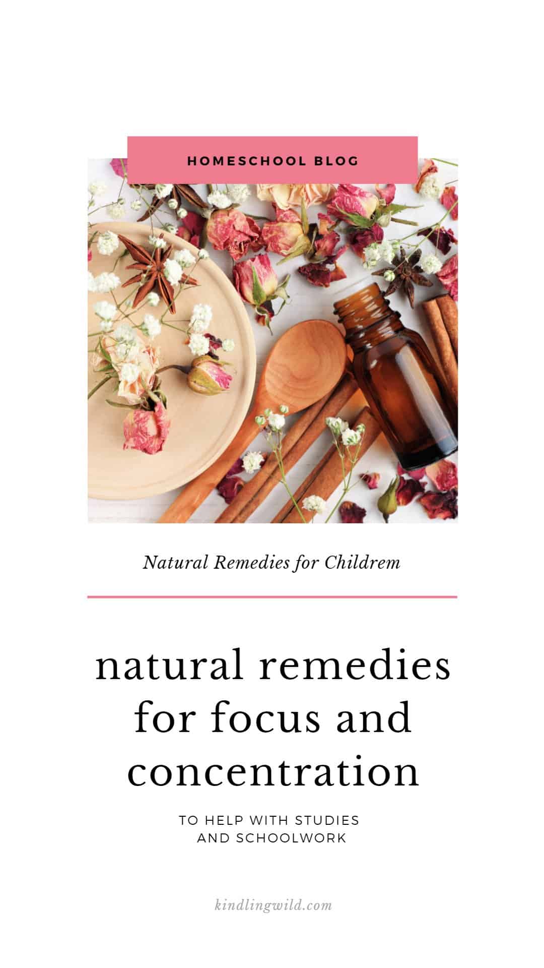 Best Natural Remedies for Focus and Concentration Kindling Wild