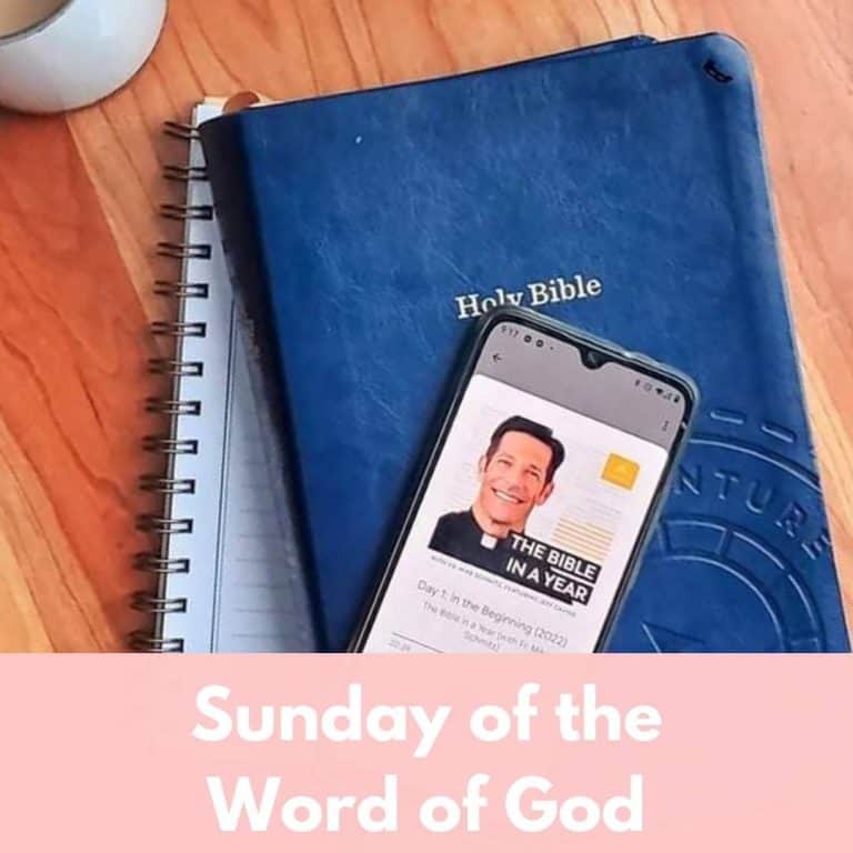 a blue bible and a phone with fr mike's bible in a year podcast open are lying on a wooden table near a plant