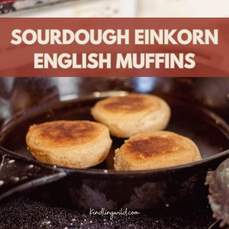 Easy Overnight Einkorn Sourdough English Muffins
