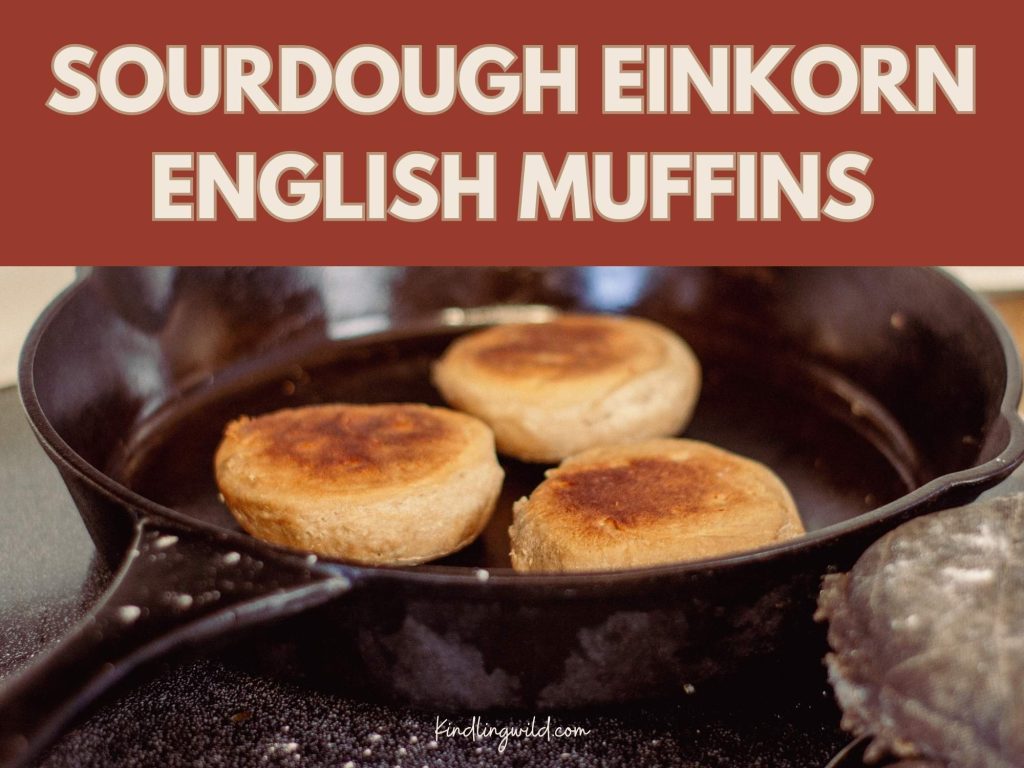lightly browned english muffins in a cast iron pan