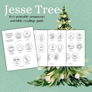 green background graphic showing jesse tree ornaments