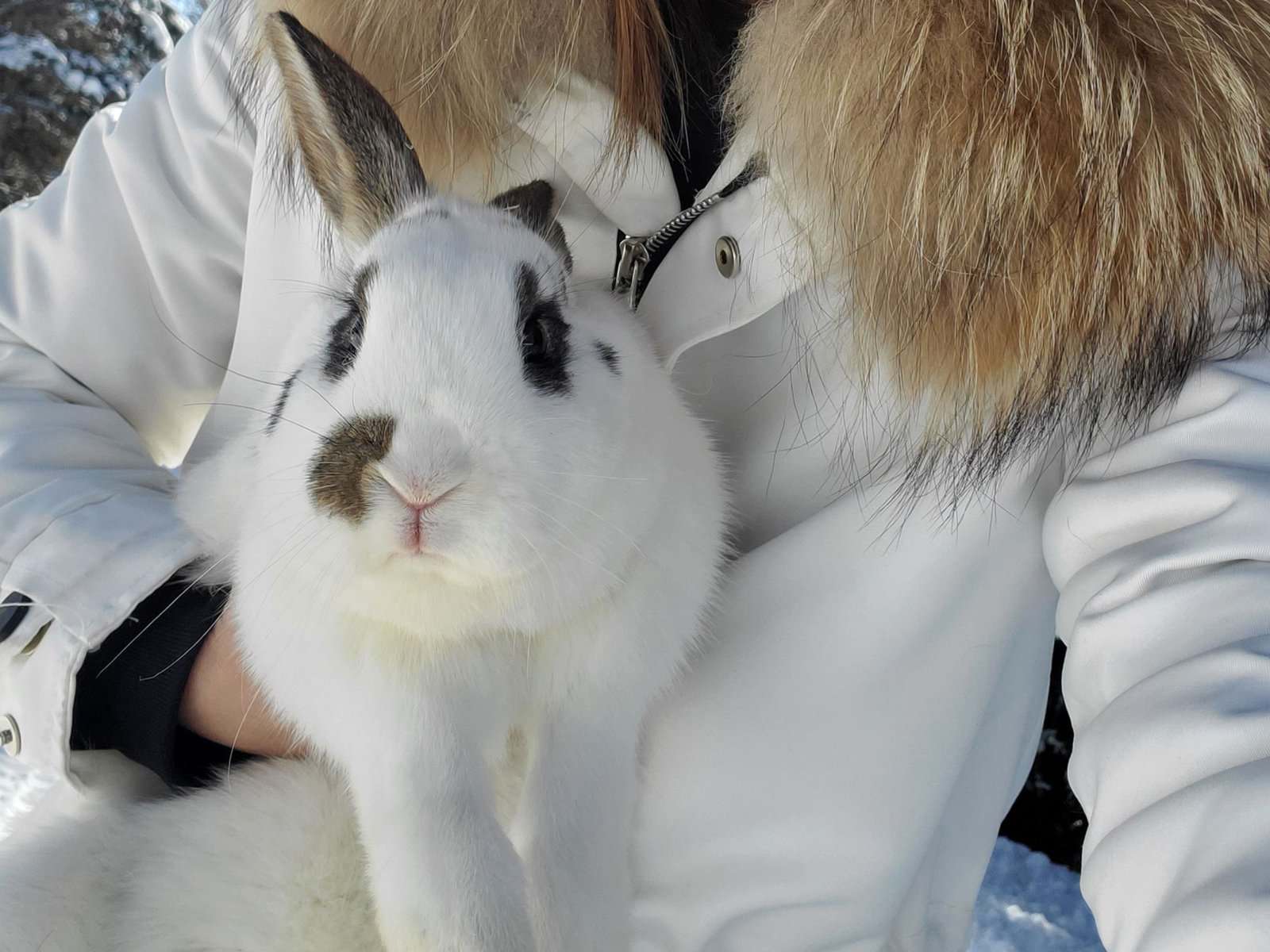 a woman in a white winter coat holding a white and brown rabbit