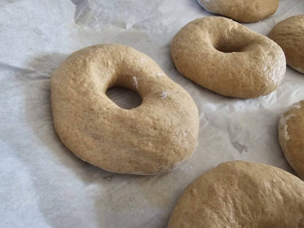 tray of einkorn bagels